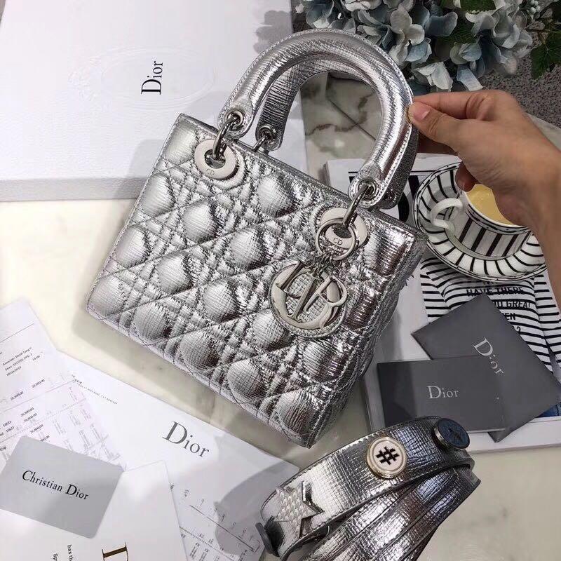 DIOR Handbags 99